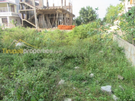 1) 45 Ankanams Land for Sale in Vidyanagar Teachers Colony Tirupati .JPG